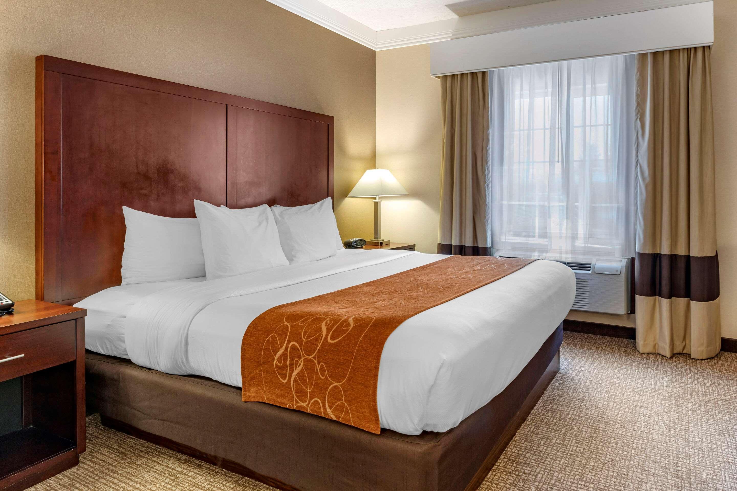 Comfort Suites Linn County Fairground And Expo Albany Esterno foto
