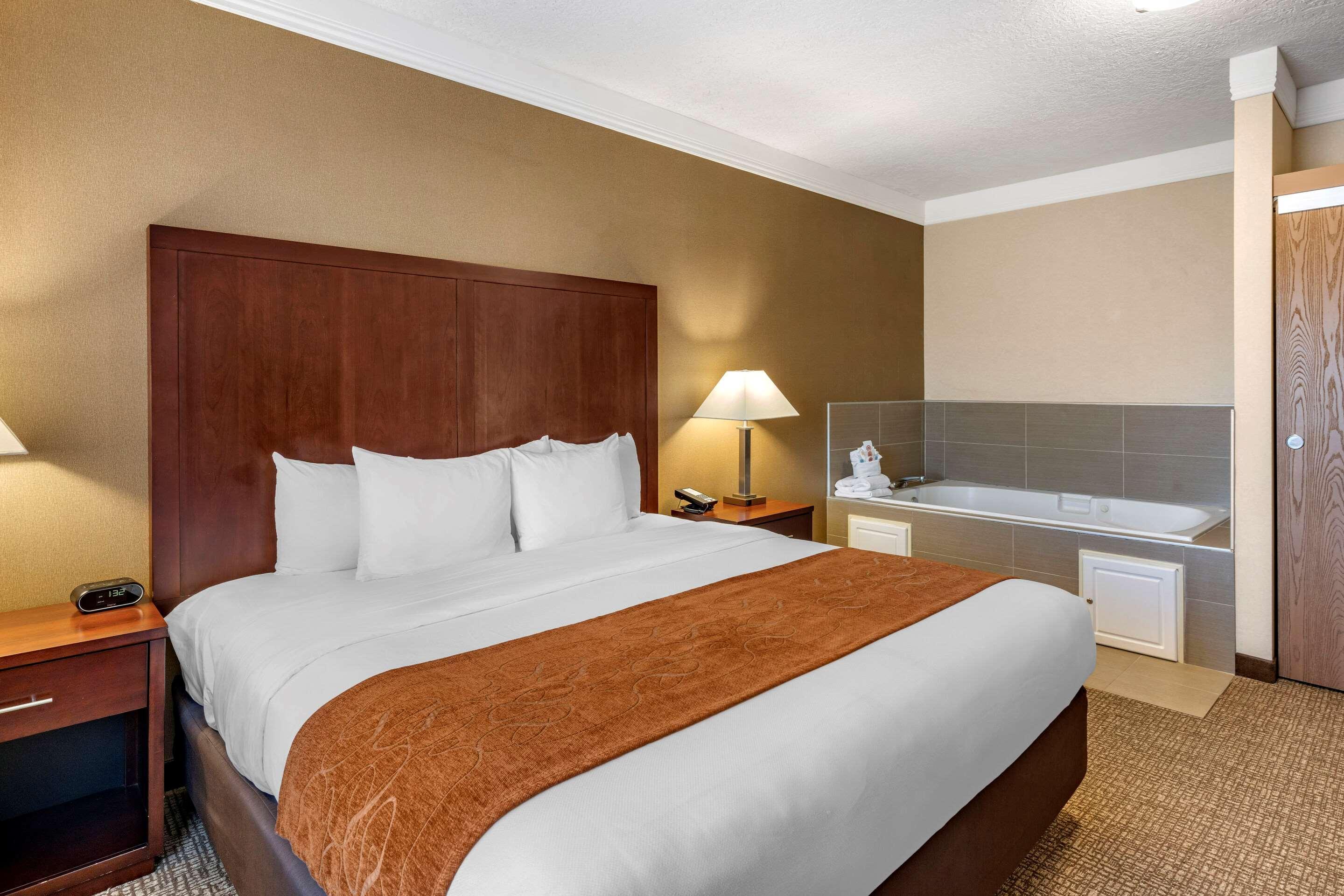 Comfort Suites Linn County Fairground And Expo Albany Esterno foto