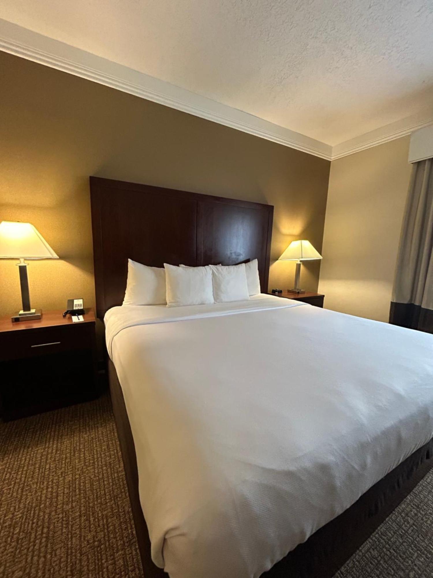 Comfort Suites Linn County Fairground And Expo Albany Esterno foto